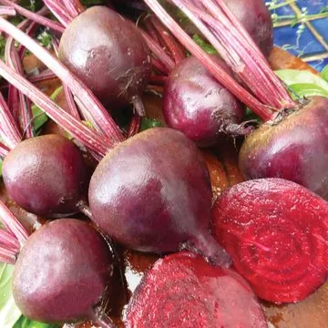 Beet - German Lutz (Seeds)